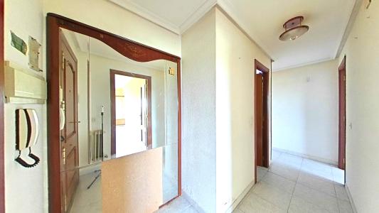 Salamanca, Castilla Y León 37200, ספרד