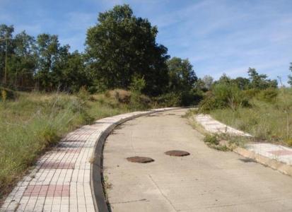 Salamanca, Castilla Y León 37700, 西班牙