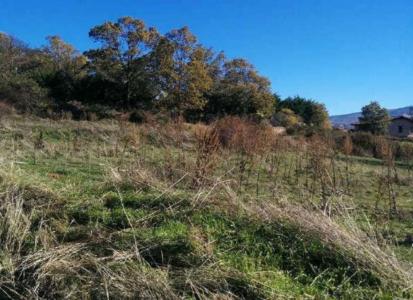 Salamanca, Castilla Y León 37700, Hiszpania