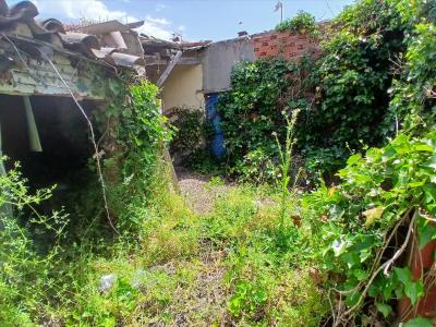 Salamanca, Castilla Y León 37810, Tây Ban Nha