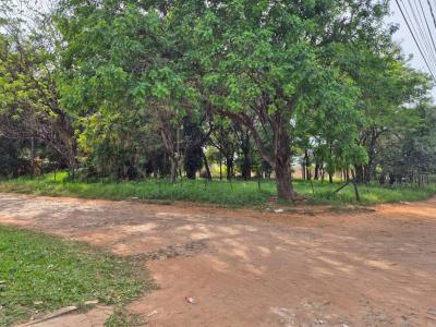 Mariano Roque Alonso, 중앙 00001, 파라과이