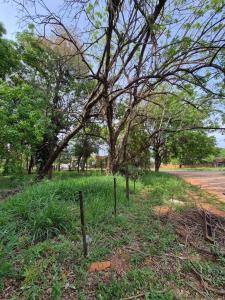 Mariano Roque Alonso, 중앙 00001, 파라과이