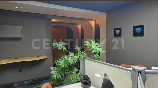 Alvaro Obregón, Ciudad De México 01900, 墨西哥