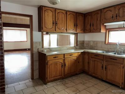 56 Albert Avenue, Buffalo, 纽约州 14207, 美国