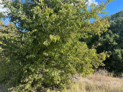 00 Hwy 69, Greenville, טקסס 75401, ארצות הברית של אמריקה