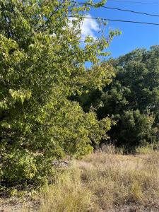 00 Hwy 69, Greenville, טקסס 75401, ארצות הברית של אמריקה