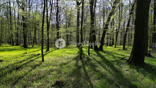 9999 Buzzard Road, Manchester, Kentucky 40962, USA