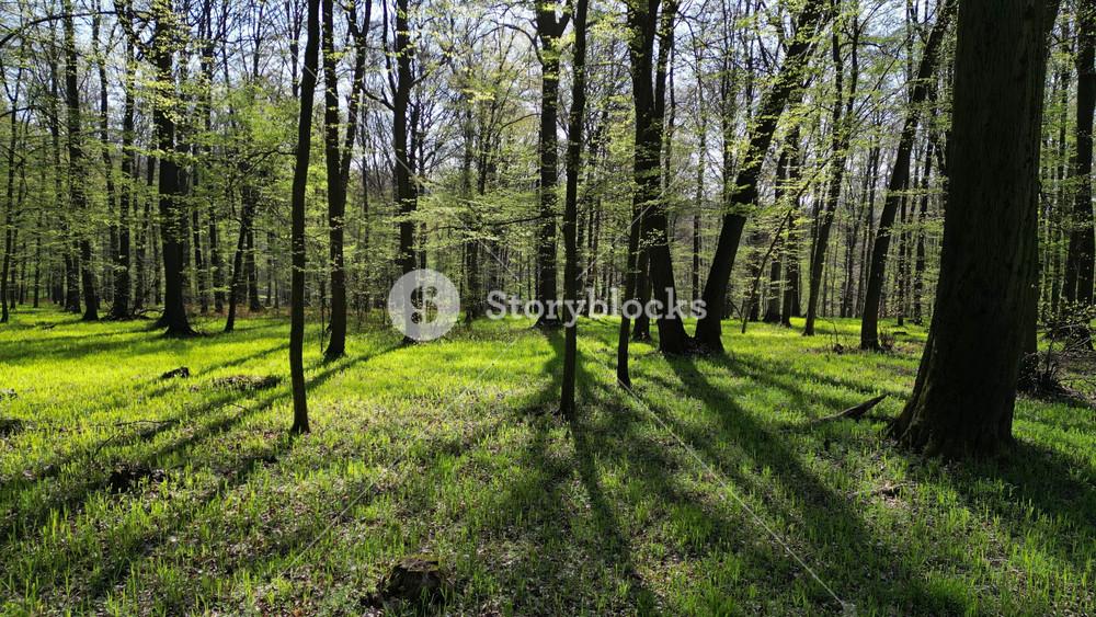 9999 Buzzard Road, Manchester, Kentucky 40962, Stati Uniti