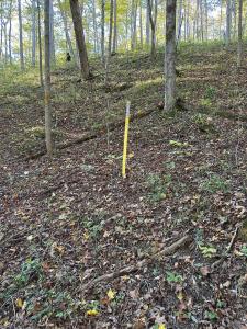 39454 Boston Road, Reedsville, 오하이오 45772, 미국