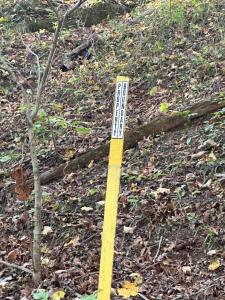 39454 Boston Road, Reedsville, 오하이오 45772, 미국