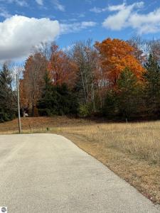 9534 Chippewa Drive, Mancelona, Мичиган 49659, Соединенные Штаты