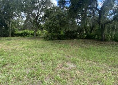 33128 FOREST RIDGE ROAD, DELAND, Florida 32720, Estados Unidos