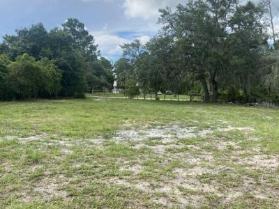 33128 FOREST RIDGE ROAD, DELAND, Florida 32720, Estados Unidos