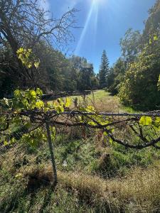 6130 Sizemore Lane, Carmichael, Californie 95608, États-Unis