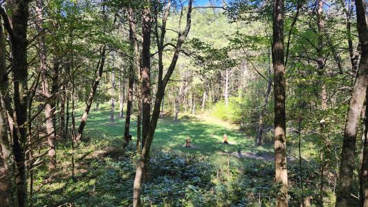 0 Tipple Road, Tracy City, Tennessee 37387, USA