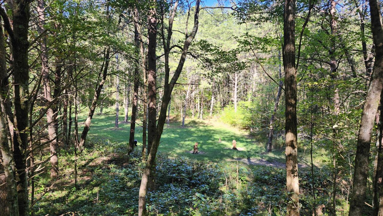 0 Tipple Road, Tracy City, Tennessee 37387, Estados Unidos