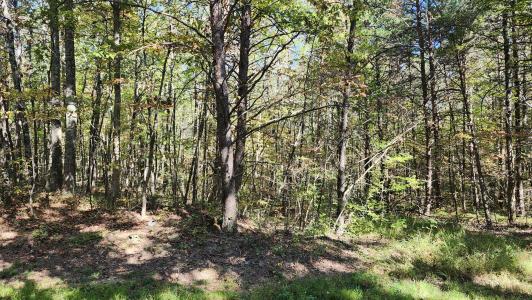 0 Tipple Road, Tracy City, Tennessee 37387, Estados Unidos