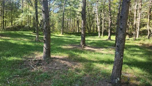 0 Tipple Road, Tracy City, Tennessee 37387, Estados Unidos