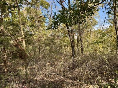 1178 Hart Road, Macomb, Миссури 65702, Соединенные Штаты