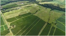 70.44 Acres Cedar Avenue, Wellman, Iowa 52356, USA