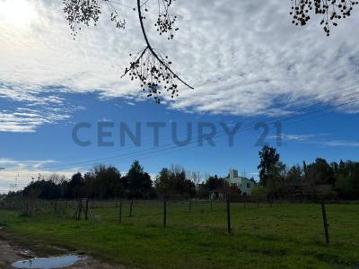 Rio Diamante , Exaltación De La Cruz, GBA Norte 00001, Argentina