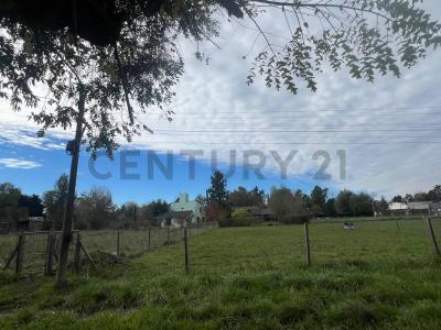 Rio Diamante , Exaltación De La Cruz, GBA Norte 00001, Argentina