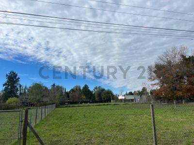 Rio Diamante , Exaltación De La Cruz, GBA Norte 00001, Argentina