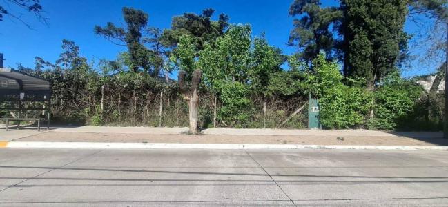 Hurlingham, GBA Oeste 1696, Argentina