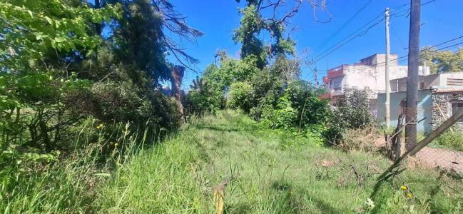 Hurlingham, GBA Oeste 1696, Argentina