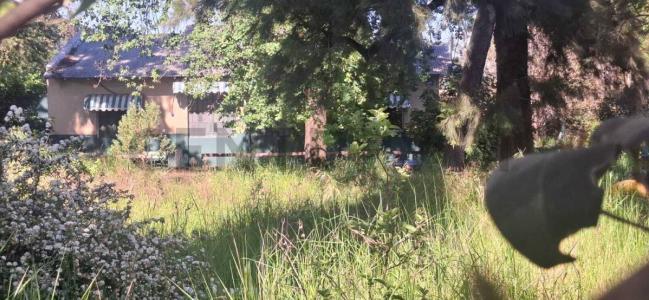 Hurlingham, GBA Oeste 1696, Argentina