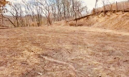 La Cruz La Cruz, Guanacaste 00001, Costa Rica