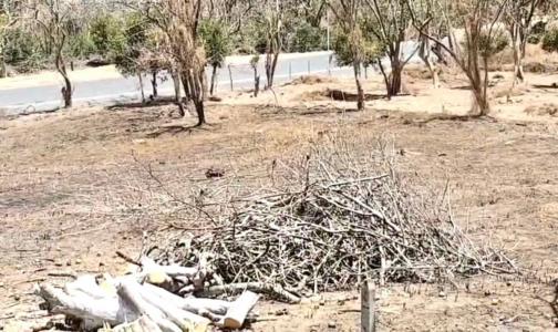 La Cruz La Cruz, Guanacaste 00001, Costa Rica