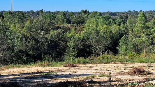 Setúbal, Setúbal 2925-114, Portugal