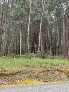Batalha, Leiria 2495-032, Portugal