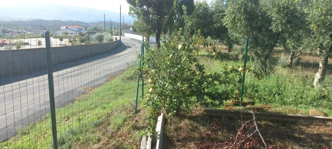 Covilhã, Castelo Branco 6200-811, Portugal