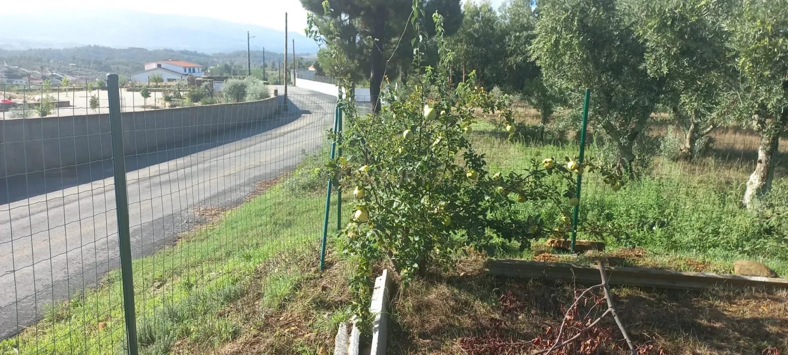 Covilhã, Castelo Branco 6200-811, Portugal