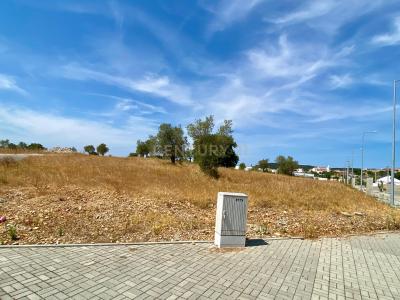 Constância, Santarem 2250-234, Portugal