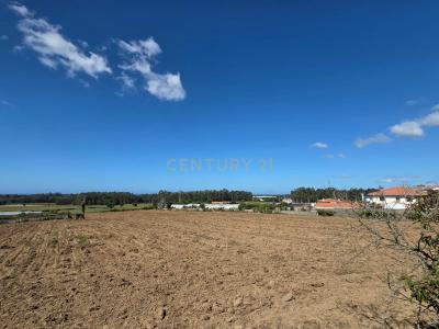 Póvoa De Varzim, Porto 4570-329, Portugal