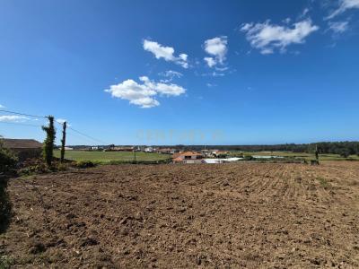 Póvoa De Varzim, Porto 4570-329, Portugal