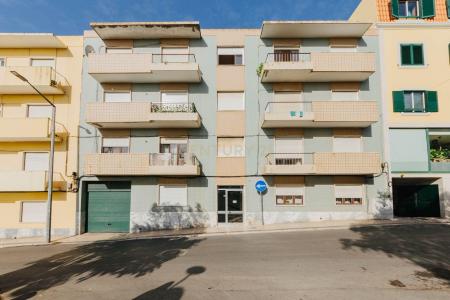 Cartaxo, Santarém 2070-101, Portugal