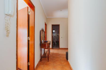 Cartaxo, Santarém 2070-101, Portugal