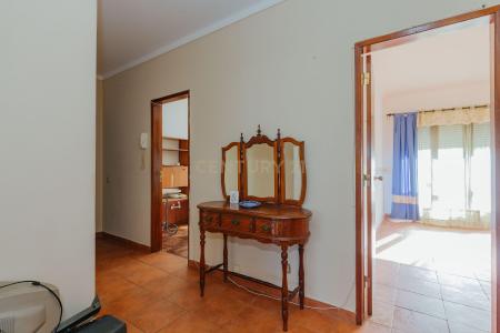 Cartaxo, Santarém 2070-101, Portugal