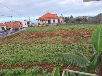 Santana, マデイラ諸島 9230-081, ポルトガル