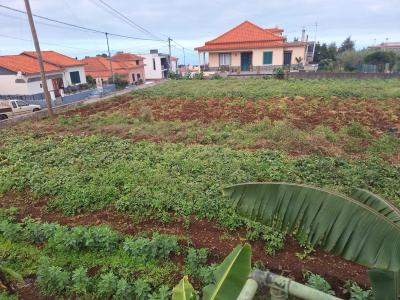 Santana, מדיירה 9230-081, פורטוגל 