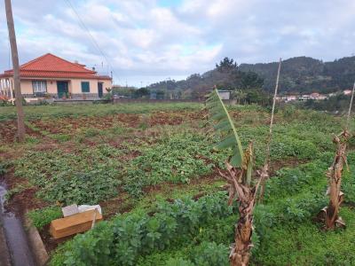 Santana, מדיירה 9230-081, פורטוגל 