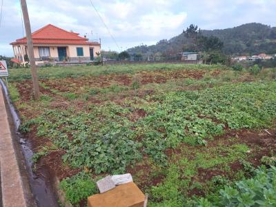 Santana, מדיירה 9230-081, פורטוגל 