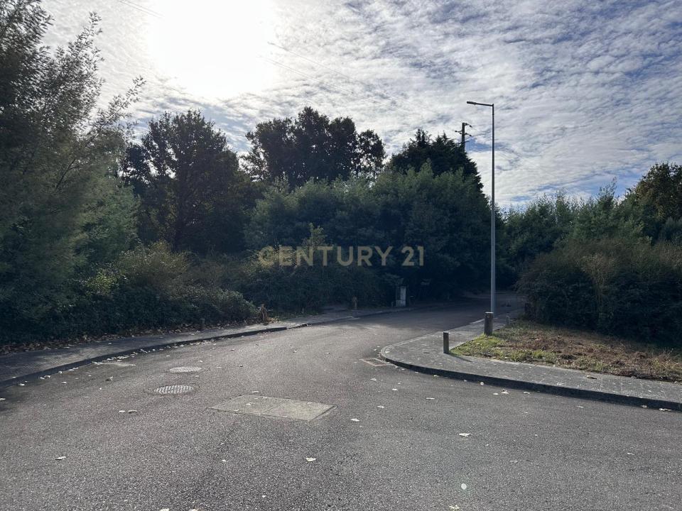 Santa Comba Dão, Viseu 3440-312, Portugal