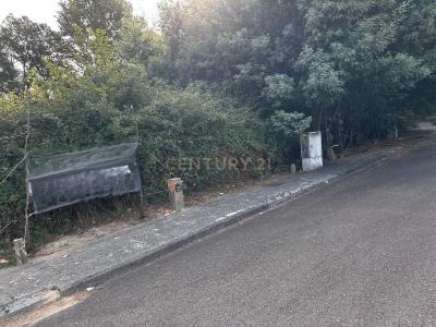 Santa Comba Dão, Viseu 3440-312, Portugal