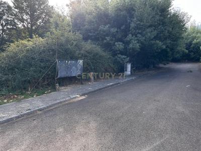 Santa Comba Dão, Viseu 3440-312, Portugal