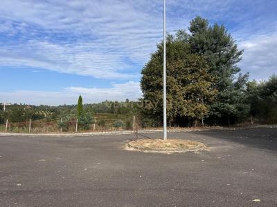 Santa Comba Dão, Viseu 3440-312, Portugal